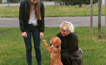 Spotkanie z wolontariuszką wychowującą psa / fot. arch. fundacji Labrador