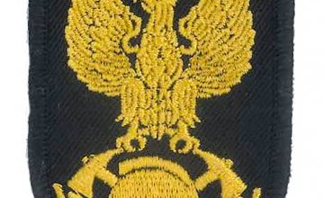 Fot. 7a. Wizerunek orła pożarniczego, załącznik nr 4 do rozporządzenia MSWiA z 18 listopada 1997 r. w sprawie umundurowania strażaków Państwowej Straży Pożarnej