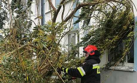 fot. KP/KM PSP woj. dolnośląskiego 