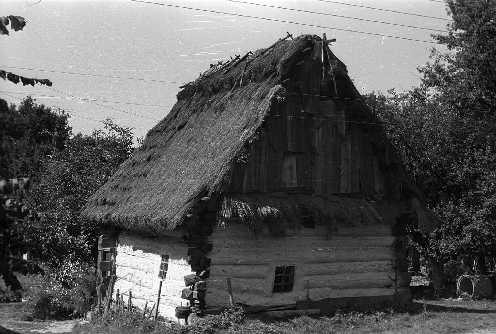 Kurna chata, Wola Żarczycka k. Leżajska, 1975/ fot. Józef Burszta, CC BY-SA 3.0
