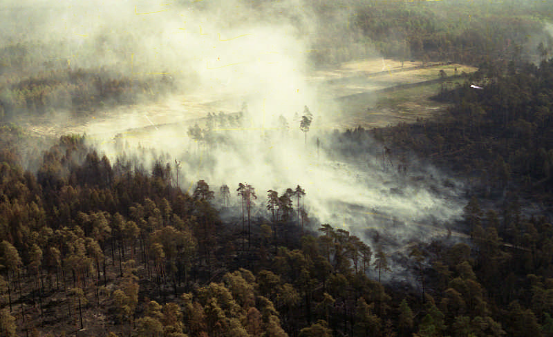 lasy objęte pożarem. Widok z samolotu / fot. archiwum Nadleśnictwa Rudy Raciborskie