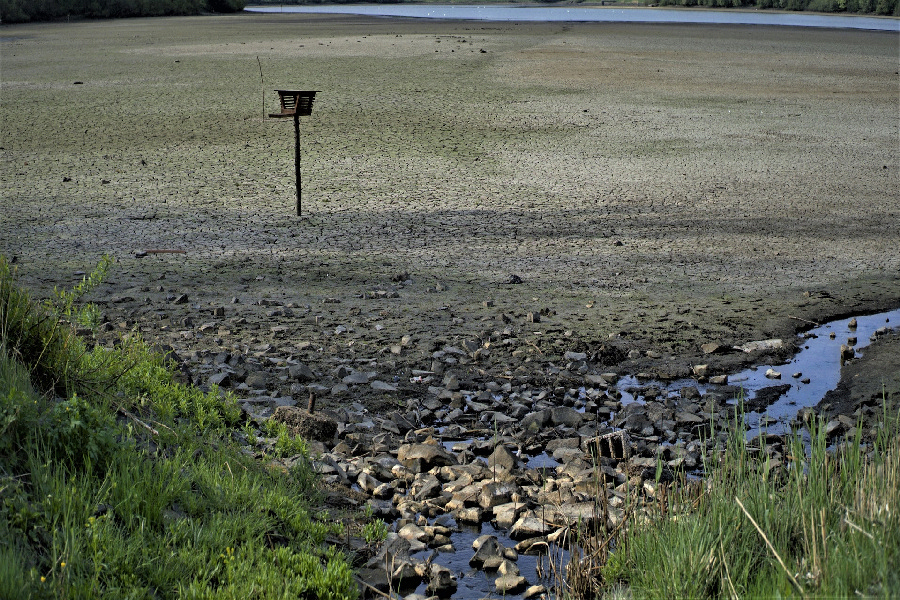 Obecnie, aby przywrócić normalny poziom wód gruntowych i zbiorników, potrzebowalibyśmy kilku solidnie mokrych lat/ fot. Pixabay