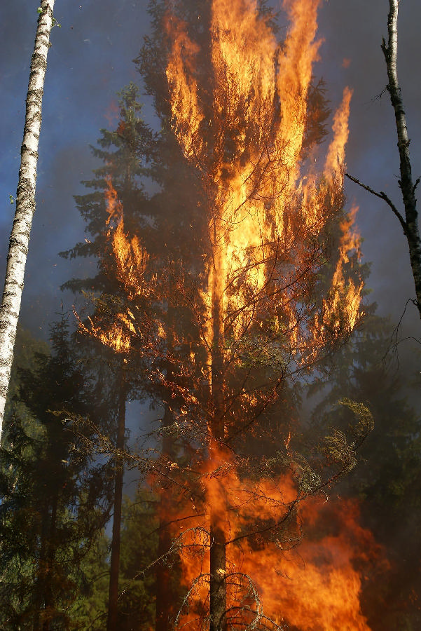 Należy się spodziewać coraz częstszych i coraz większych pożarów na terenach rolniczych oraz w lasach, z drugiej zaś krótkotrwałych powodzi, głównie na obszarach miejskich/ fot. Pixabay