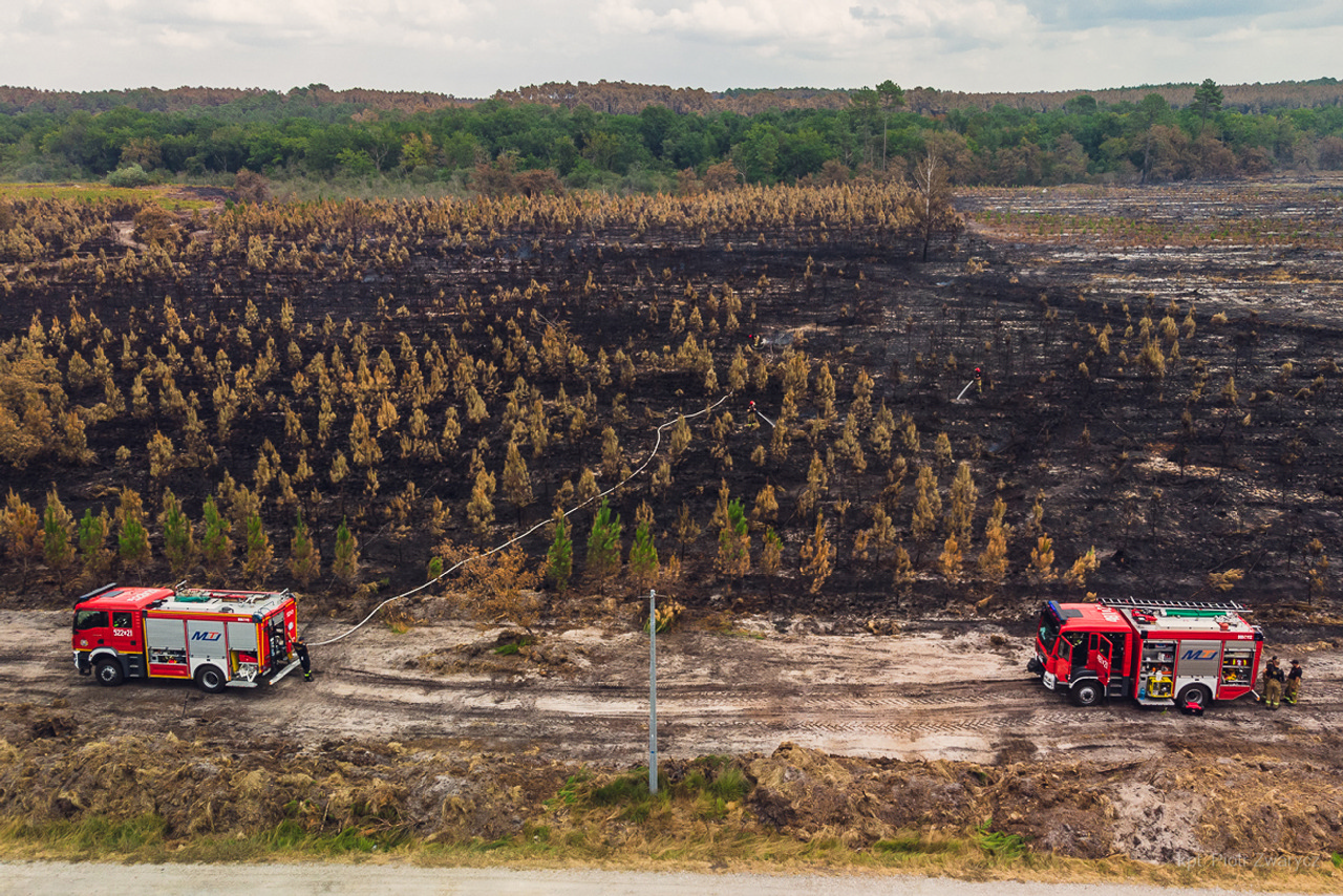 Rozległe tereny zniszczone przez ogień i strażacy walczący z jego zarzewiami / fot. Piotr Zwarycz