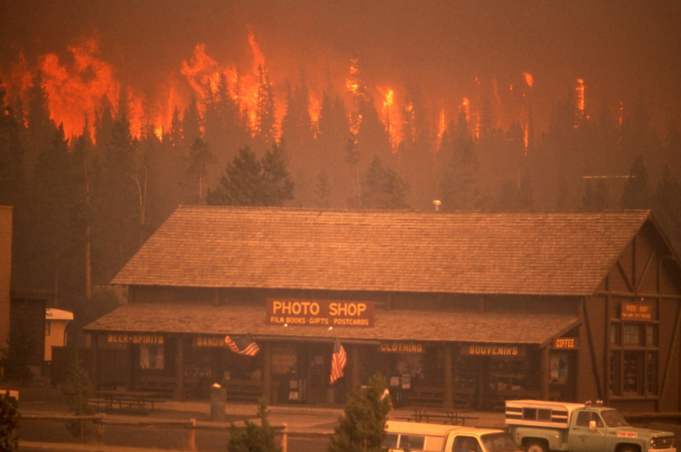 Pożar w Yellowstone, 1988 r.  fot. Wikipedia / domena publiczna