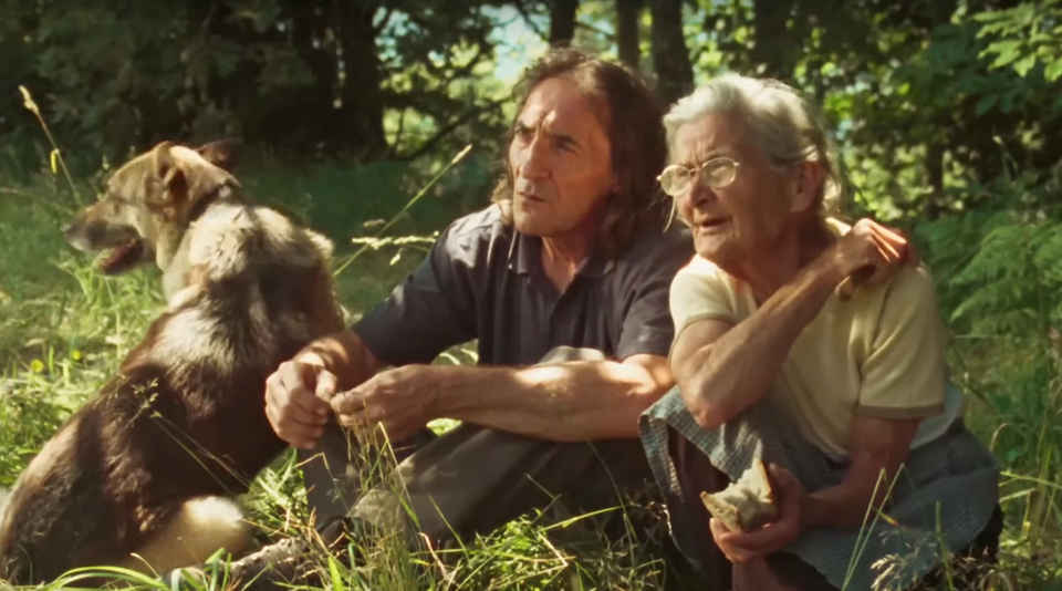 Kluczowa dla zrozumienia filmu rozmowa o drzewach Amadora i jego matki fot. kadr z filmu