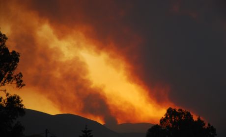 Pożar lasu na masywie górskim Parnita, na północ od Aten, 2007 r. fot. George Havlicek / Wikipedia (CC BY-SA 3.0)