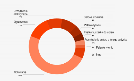 Przyczyny pożarów w USA źródło: opracowanie własne