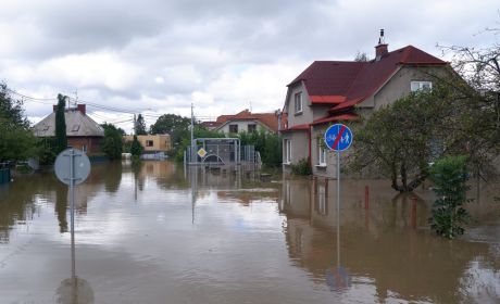 Obraz na wolnym powietrzu, niebo, woda, drzewo, dom, znak drogowy, chmura.
