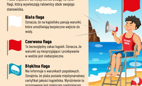  Grafika przedstawiająca oznaczenie falg na plaży