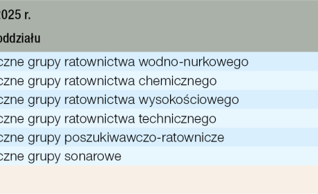 Zestawienie w tabeli 2 przedstawia stan liczebny specjalistycznych grup po trzech dekadach funkcjonowania ksrg. Ukazuje ono skalę rozbudowy i konsolidacji wybranych typów grup specjalistycznych, które obecnie stanowią jeden z kluczowych filarów operacyjnych systemu ratownictwa w Polsce.