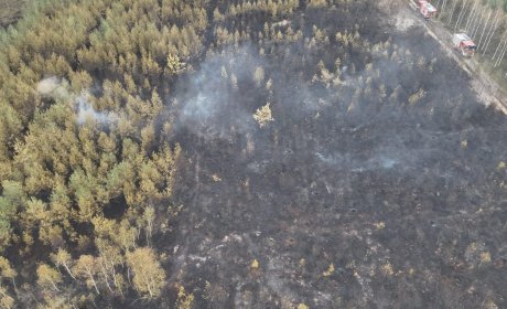 Pożar lasu w miejscowości Ciosmy