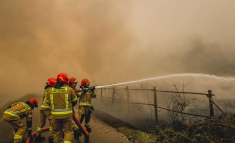 Pożar lasu. Wszędzie widać gęsty dym. Pięciu strażak&oacute;w prowadzi działania gaśnicze.