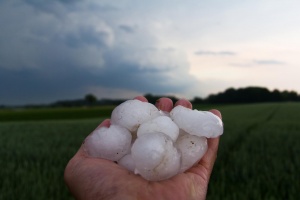 Na wysokości zamarzania z kropel wody tworzą się lodowe ziarna, które przybierają na masie i spadają na ziemię w postaci gradziny / fot. Pixabay