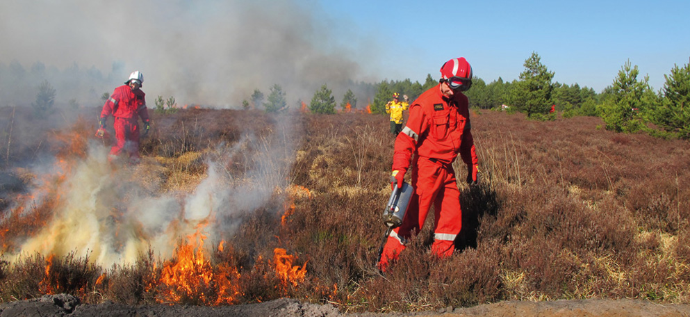 Gaszenie pożarów lasów przy pomocy ognia
