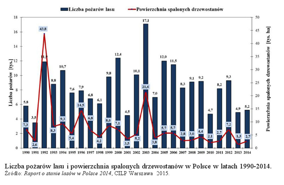 liczba pozarow lasow